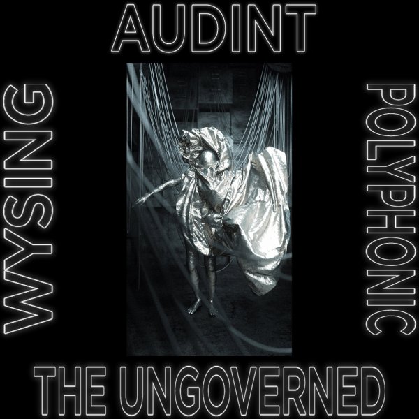 The Ungoverned: AUDINT